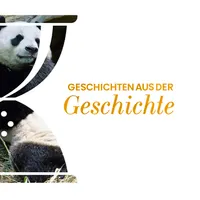 Geschichten aus der Geschichte artwork