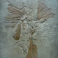 Geschichte Europas artwork