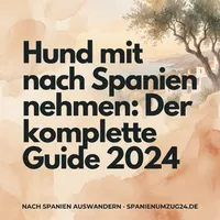 Nach Spanien auswandern artwork
