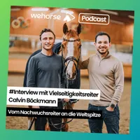 wehorse Podcast artwork