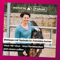 wehorse Podcast artwork