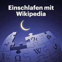 Einschlafen mit Wikipedia artwork