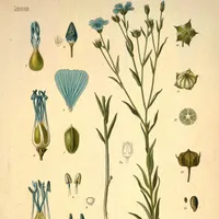 Geschichte Europas artwork