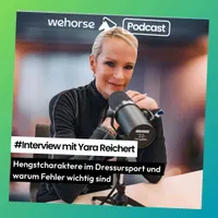 wehorse Podcast artwork