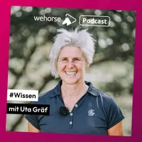 wehorse Podcast artwork