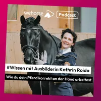 wehorse Podcast artwork