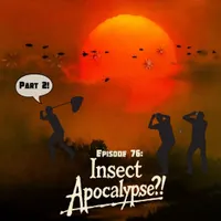 The Field Guides artwork
