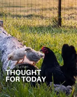 Thought For Today artwork