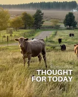 Thought For Today artwork