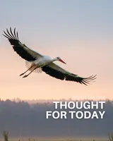 Thought For Today artwork