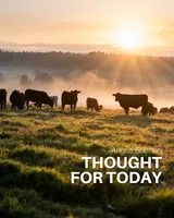 Thought For Today artwork