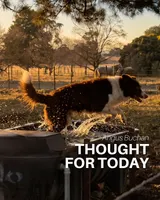 Thought For Today artwork