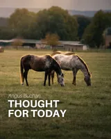 Thought For Today artwork