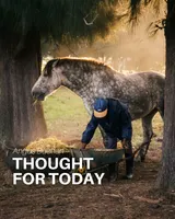 Thought For Today artwork