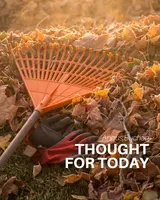 Thought For Today artwork