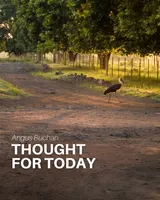 Thought For Today artwork