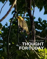 Thought For Today artwork