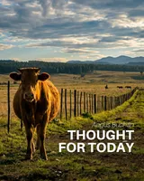 Thought For Today artwork