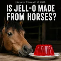 Interesting Things with JC artwork