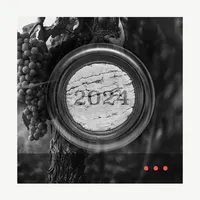 The Wine Conversation artwork