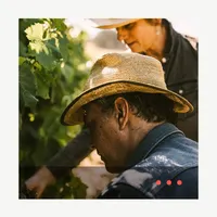 The Wine Conversation artwork