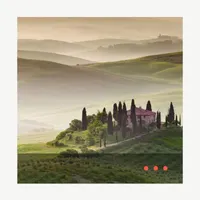 The Wine Conversation artwork