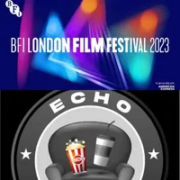 Echo Chamber - Film Festival Edition artwork