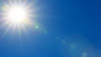 News at One artwork