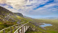 Morning Ireland artwork