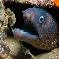 Espacio en blanco artwork