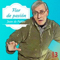 Flor de pasión artwork