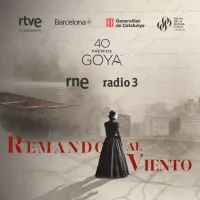 Ficción sonora artwork