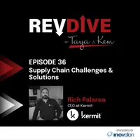 RevDive artwork