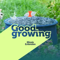 Good Growing artwork