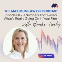 Maximum Lawyer artwork