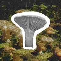 Second Nature artwork