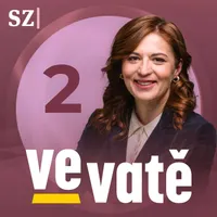 Ve vatě artwork