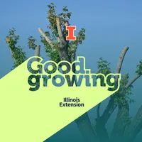 Good Growing artwork