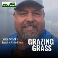Grazing Grass Podcast | Rotational Grazing, Soil Health & Profitable Livestock Farming artwork