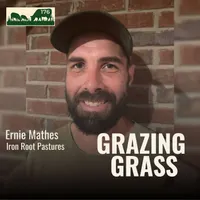 Grazing Grass Podcast | Rotational Grazing, Soil Health & Profitable Livestock Farming artwork