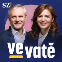 Ve vatě artwork