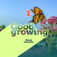 Good Growing artwork