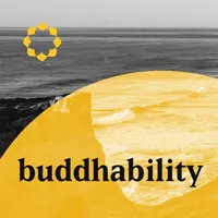 Buddhability artwork