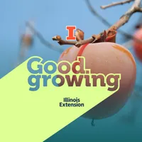 Good Growing artwork
