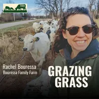Grazing Grass Podcast | Rotational Grazing, Soil Health & Profitable Livestock Farming artwork