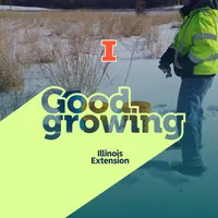 Good Growing artwork