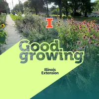 Good Growing artwork