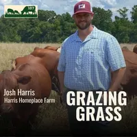 Grazing Grass Podcast | Rotational Grazing, Soil Health & Profitable Livestock Farming artwork