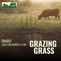 Grazing Grass Podcast | Rotational Grazing, Soil Health & Profitable Livestock Farming artwork