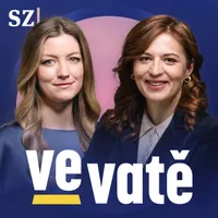 Ve vatě artwork